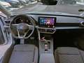 SEAT Leon Leon FR 2,0 TDI DSG Start-Stopp FR Weiß - thumbnail 5