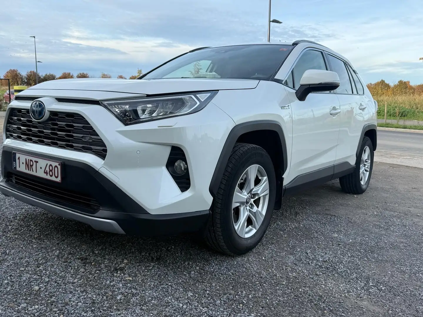 Toyota RAV 4 RAV4 Hybrid HEV 2.5i 2WD Dynamic Business (Li-ion Blanc - 2