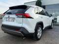 Toyota RAV 4 RAV4 Hybrid HEV 2.5i 2WD Dynamic Business (Li-ion Blanc - thumbnail 4