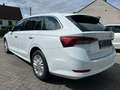 Skoda Octavia Combi Ambition Hybrid Weiß - thumbnail 7