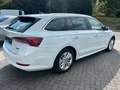 Skoda Octavia Combi Ambition Hybrid Weiß - thumbnail 5