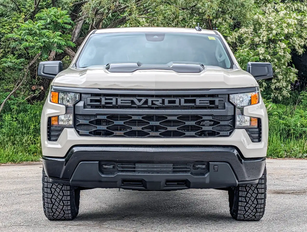 Chevrolet Silverado 1500 снимка Chevrolet Silverado 1500