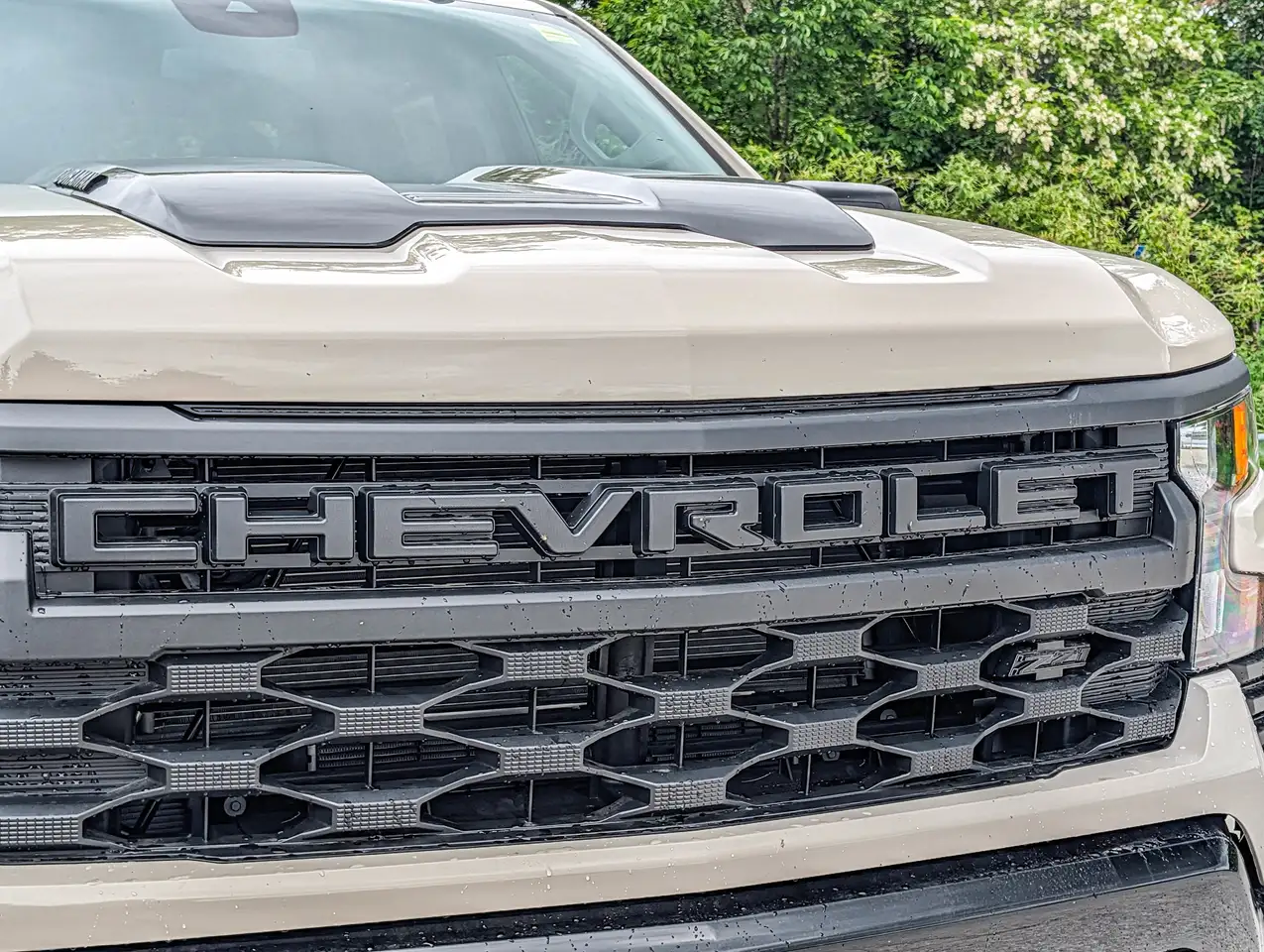 Chevrolet Silverado 1500 снимка Chevrolet Silverado 1500