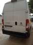 Fiat Ducato Fg. Maxi 35 2.3Mjt L4 H3 140CV Blanco - thumbnail 5