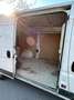 Fiat Ducato Ducato GR-Panorama 33 L2H2 130 Multijet GR-Panorama Weiß - thumbnail 4