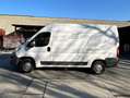 Fiat Ducato Ducato GR-Panorama 33 L2H2 130 Multijet GR-Panorama Weiß - thumbnail 9