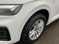 Audi Q5 40 TDI quattro S line MMI Navi LED B&O Weiß - thumbnail 6