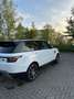 Land Rover Range Rover Sport Wit - thumbnail 4