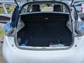 Renault ZOE (ohne Batterie) 22 kwh Intense White - thumbnail 10