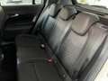 Jeep Avenger 1.2 CC TURBO 100 CV ALTITUDE UNICO PROPRIETARIO Bianco - thumbnail 17