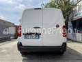 Fiat Scudo Fiat Scudo Coibentato Isotermico Frigorifero Blanc - thumbnail 3
