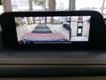 Mazda CX-30 Selection i-ACTIVSENSE+BOSE+1.HAND+360°KAMERA+ELEK Rot - thumbnail 20