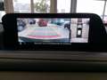 Mazda CX-30 Selection i-ACTIVSENSE+BOSE+1.HAND+360°KAMERA+ELEK Rot - thumbnail 21