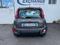 Fiat Panda Panda III 2021 1.0 firefly hybrid City Life s Grigio - thumbnail 6