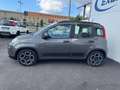 Fiat Panda Panda III 2021 1.0 firefly hybrid City Life s Grigio - thumbnail 8