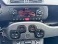 Fiat Panda Panda III 2021 1.0 firefly hybrid City Life s Grigio - thumbnail 14
