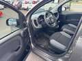 Fiat Panda Panda III 2021 1.0 firefly hybrid City Life s Grigio - thumbnail 9