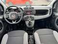 Fiat Panda Panda III 2021 1.0 firefly hybrid City Life s Grigio - thumbnail 11
