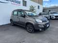 Fiat Panda Panda III 2021 1.0 firefly hybrid City Life s Grigio - thumbnail 3