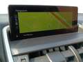 Lexus NX 300 NX Hybrid Business Gris - thumbnail 17