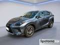 Lexus NX 300 NX Hybrid Business Gris - thumbnail 1