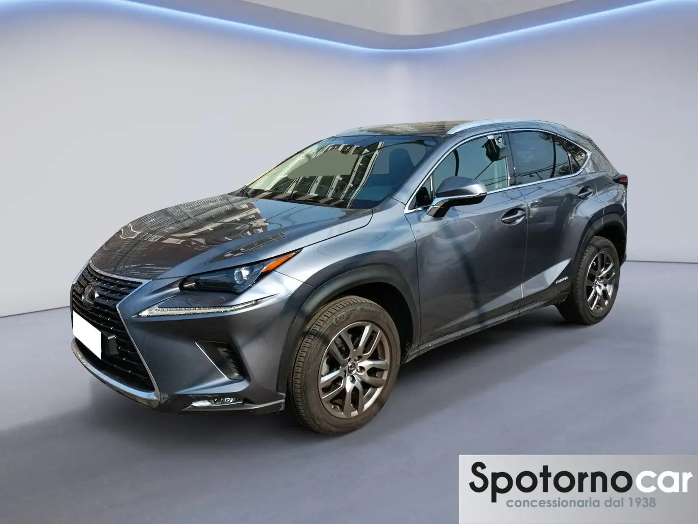 Lexus NX 300 NX Hybrid Business Gris - 1