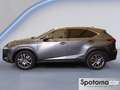 Lexus NX 300 NX Hybrid Business Gris - thumbnail 3