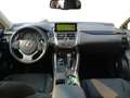 Lexus NX 300 NX Hybrid Business Gris - thumbnail 9