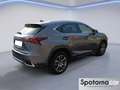 Lexus NX 300 NX Hybrid Business Gris - thumbnail 20