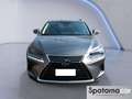 Lexus NX 300 NX Hybrid Business Gris - thumbnail 5