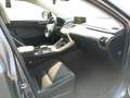 Lexus NX 300 NX Hybrid Business Gris - thumbnail 6