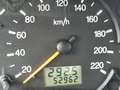 Ford Focus Focus Ambiente Rot - thumbnail 4