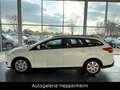 Ford Focus Turnier Business/AUT/NAV/KLIMA/SHZ/AHK Weiß - thumbnail 8