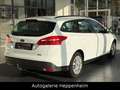 Ford Focus Turnier Business/AUT/NAV/KLIMA/SHZ/AHK Weiß - thumbnail 7