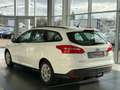 Ford Focus Turnier Business/AUT/NAV/KLIMA/SHZ/AHK Blanc - thumbnail 5