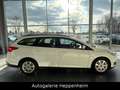 Ford Focus Turnier Business/AUT/NAV/KLIMA/SHZ/AHK Weiß - thumbnail 4