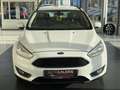 Ford Focus Turnier Business/AUT/NAV/KLIMA/SHZ/AHK Blanc - thumbnail 2