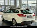 Ford Focus Turnier Business/AUT/NAV/KLIMA/SHZ/AHK Weiß - thumbnail 5
