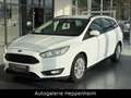 Ford Focus Turnier Business/AUT/NAV/KLIMA/SHZ/AHK Weiß - thumbnail 1