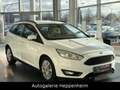 Ford Focus Turnier Business/AUT/NAV/KLIMA/SHZ/AHK Weiß - thumbnail 3
