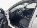 Ford Focus Turnier 1.0 EcoBoost Hybrid Aut. TITANIUM X Bianco - thumbnail 7