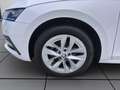 Skoda Octavia Combi 2.0 TDI DSG STYLE AHK NAVI LED SITZHZG Weiß - thumbnail 8