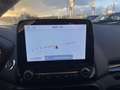Ford EcoSport 1.0 ecoboost ST-Line-FULL OPT- PREZZO REALE Grau - thumbnail 14