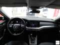 Skoda Octavia 2.0 TDI CR Wagon Executive Verde - thumbnail 12
