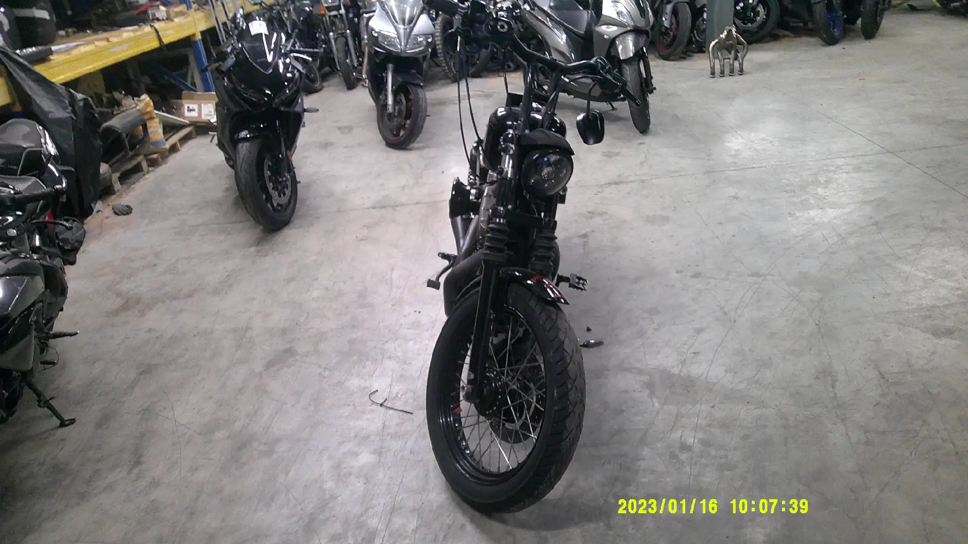 Harley-Davidson Sportster 1200 - 2