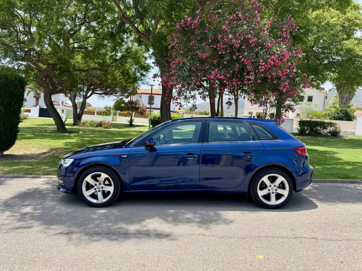 Audi A3 Sportback 1.6TDI Ambition EEL 105 Edición Especia - 1