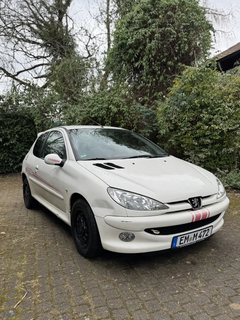 Peugeot 206 75 Petit Filou - 2
