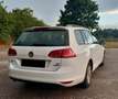 Volkswagen Golf Variant Comfortline BMT Blanco - thumbnail 3