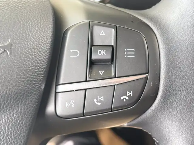 Ford Focus view 21