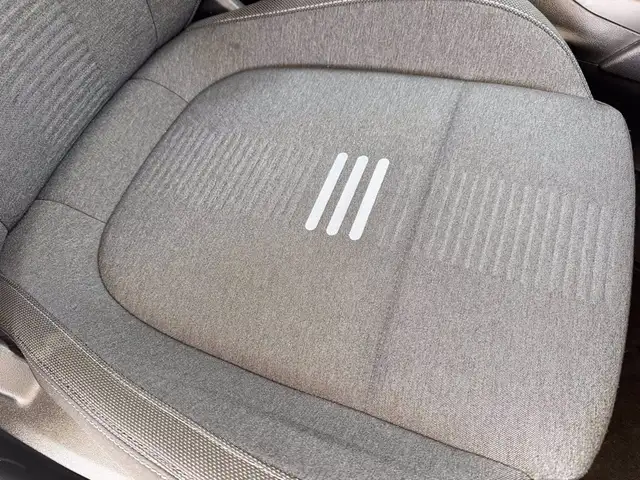 Ford Focus view 8
